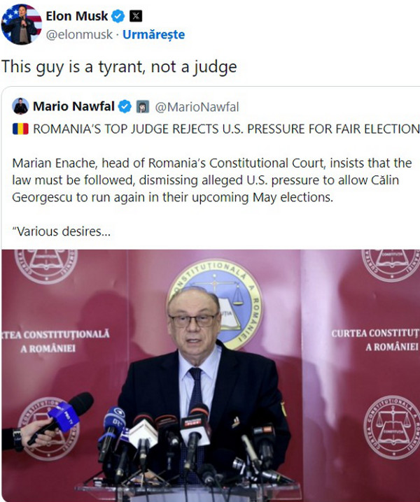 Elon Musk - Marian Enache